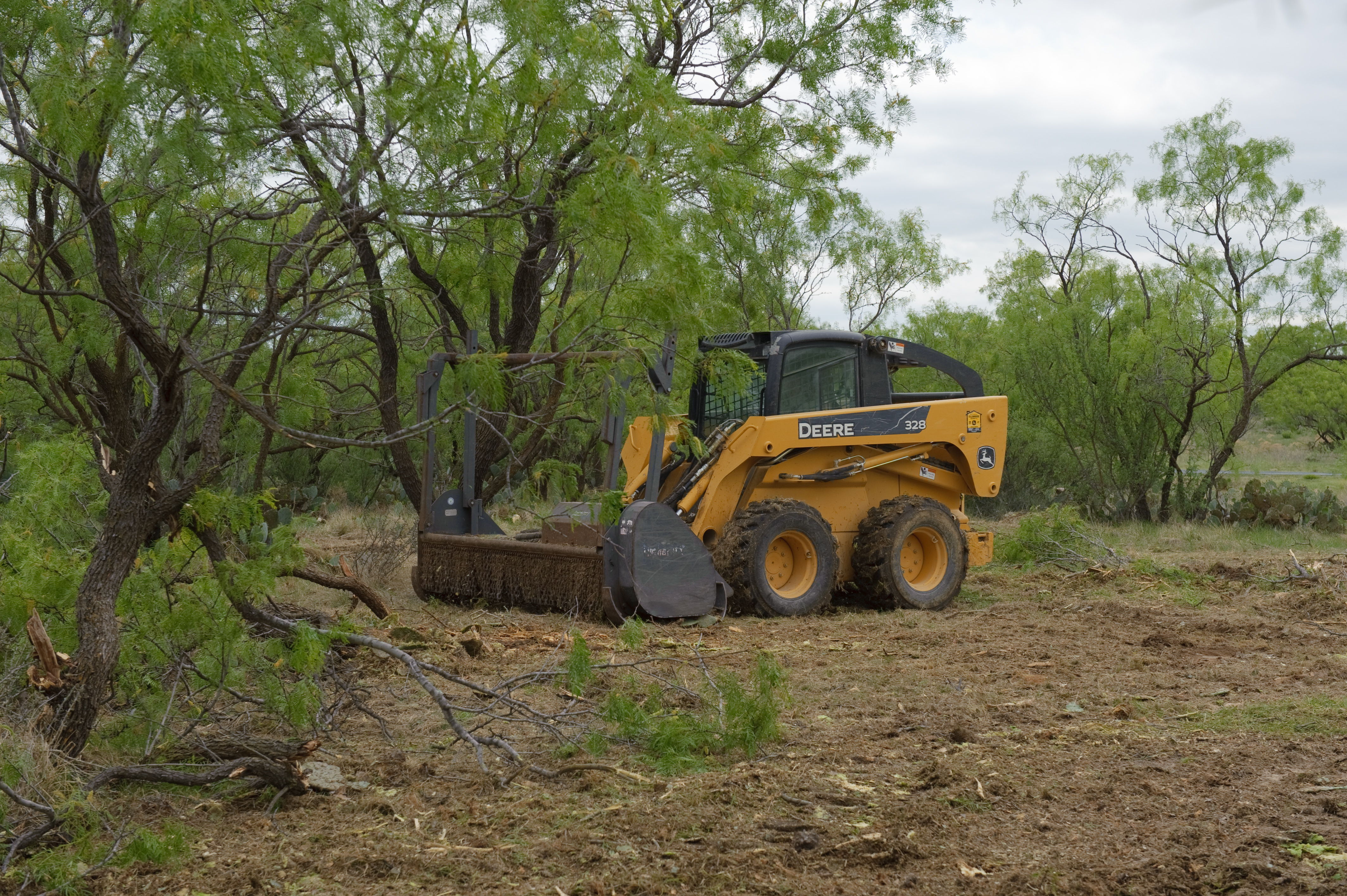 Texas ranch vegetation and brush at Stasney's Cook Ranch in Albany